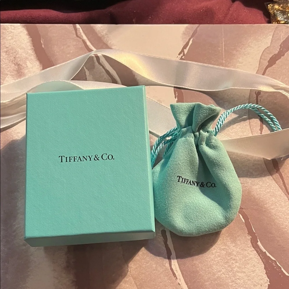 Tiffany & Co. Silver Scarab necklace NO LONGER MADE RARE